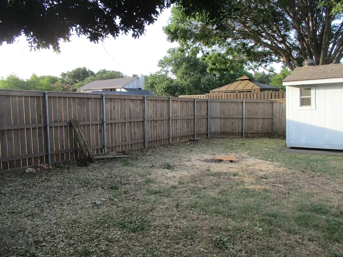 Cleared yard after professional tree removal in Carleton